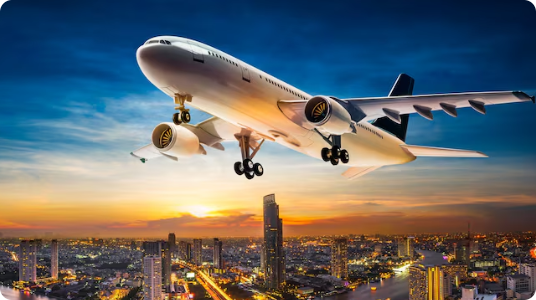 Flight Bookings