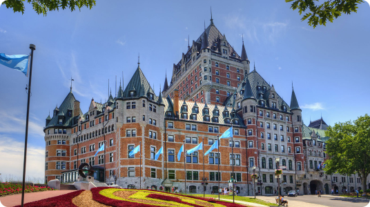 Hotel Bookings
