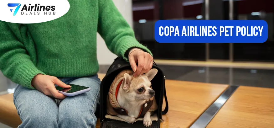 Copa Airlines Pet Policy