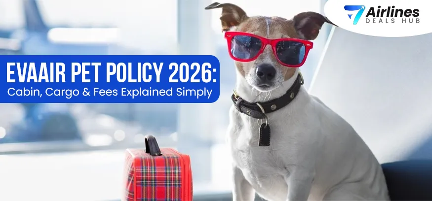 EVAAir Pet Policy 2026 Cabin, Cargo & Fees Explained Simply
